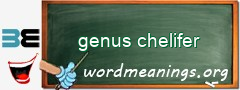 WordMeaning blackboard for genus chelifer